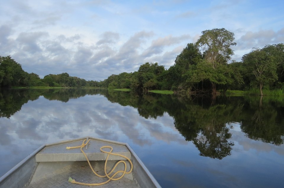 Amazonas mit Blick von einem Boot aus