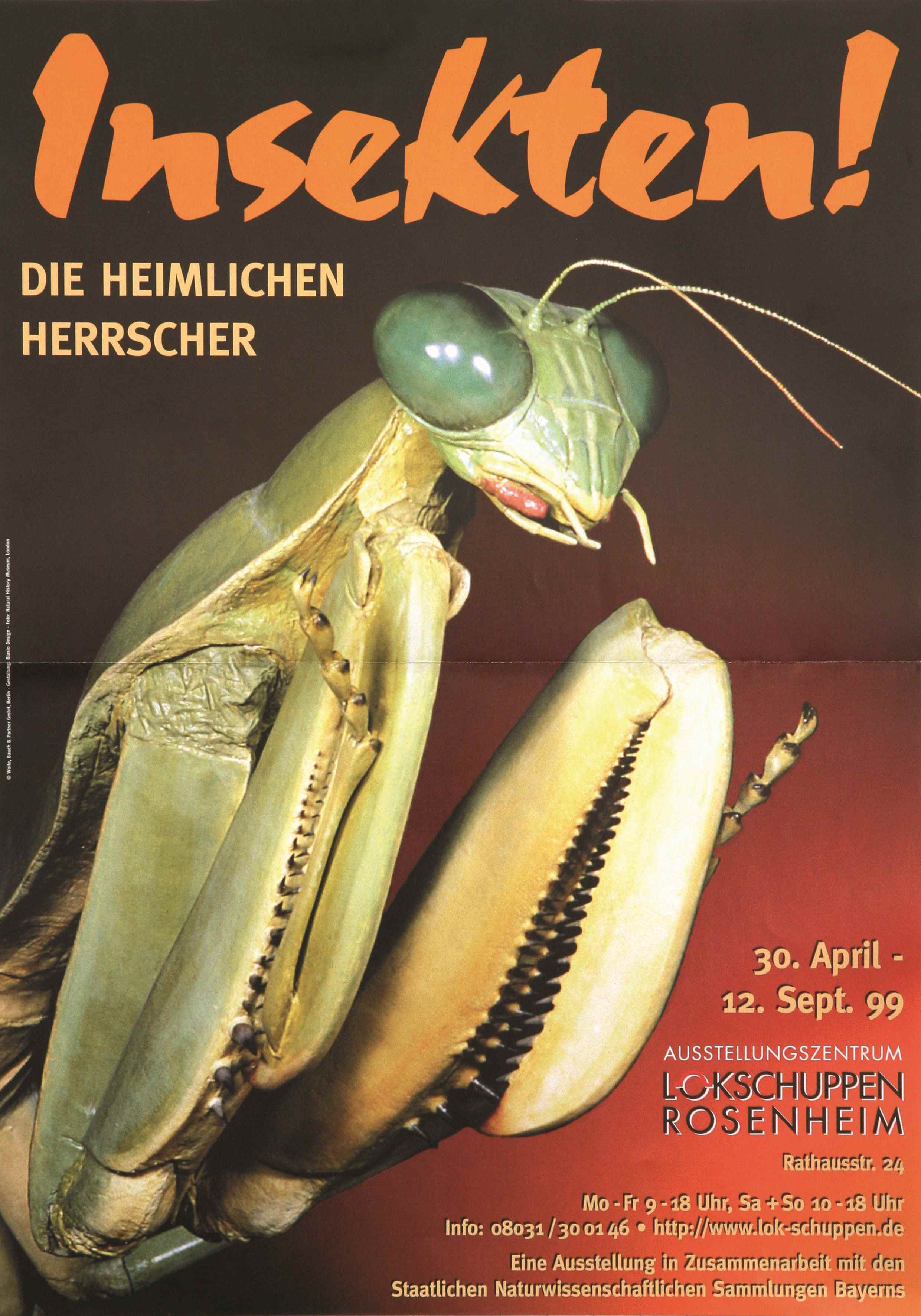 Plakat Insekten